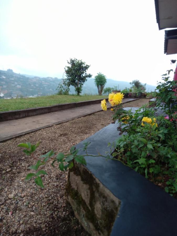 Mount View Cottage Nuwara Eliya Dış mekan fotoğraf