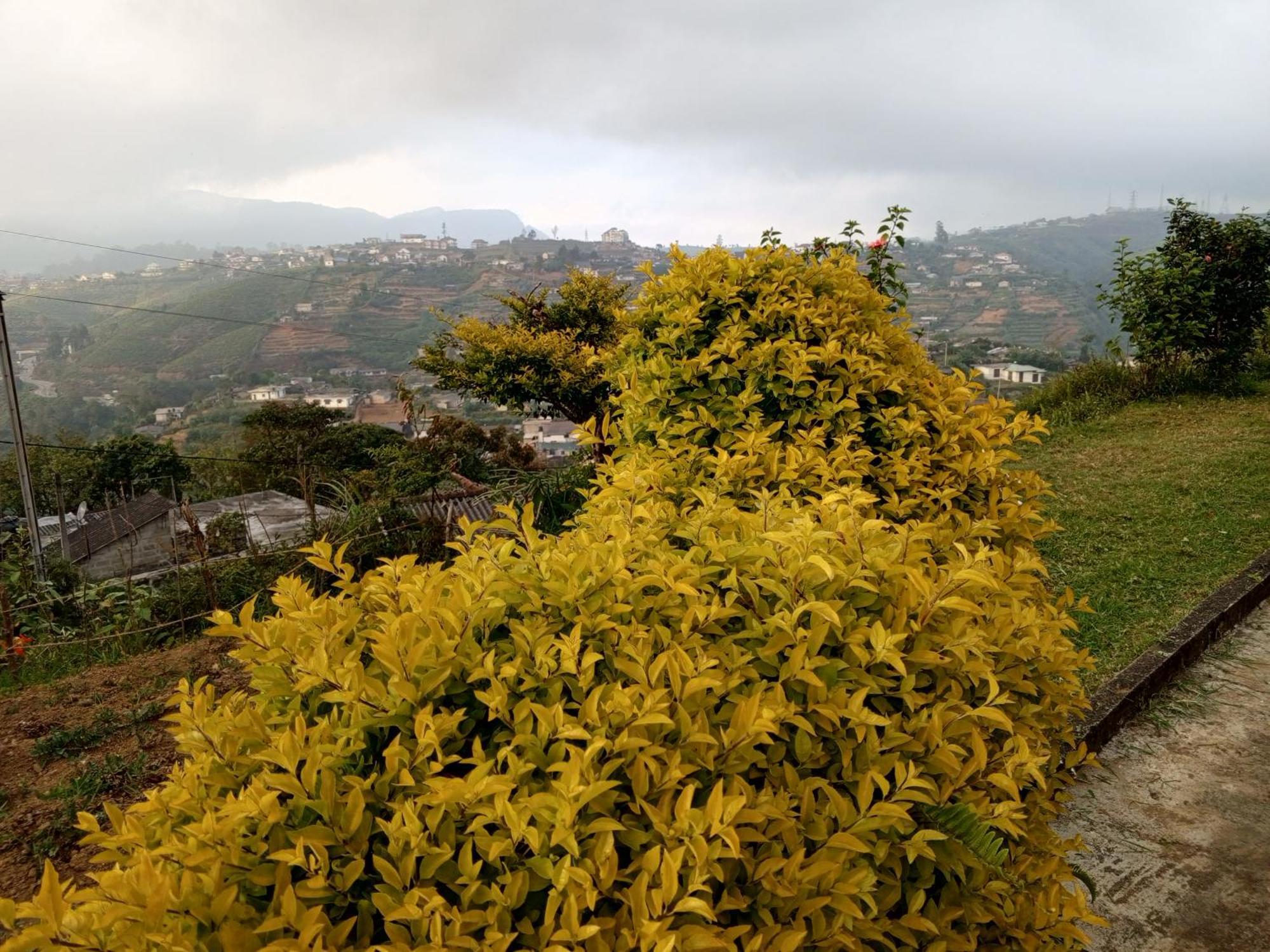 Mount View Cottage Nuwara Eliya Dış mekan fotoğraf