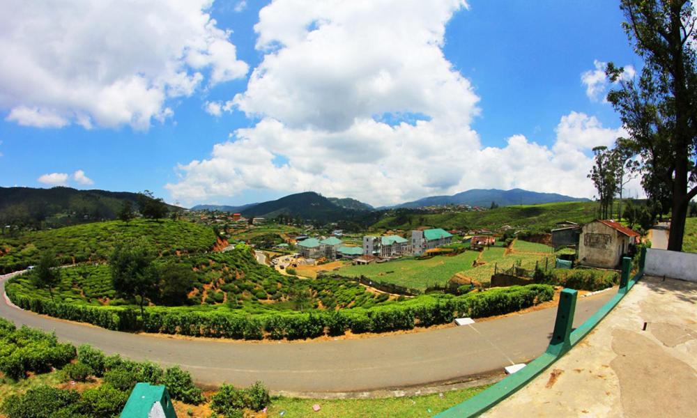 Mount View Cottage Nuwara Eliya Dış mekan fotoğraf